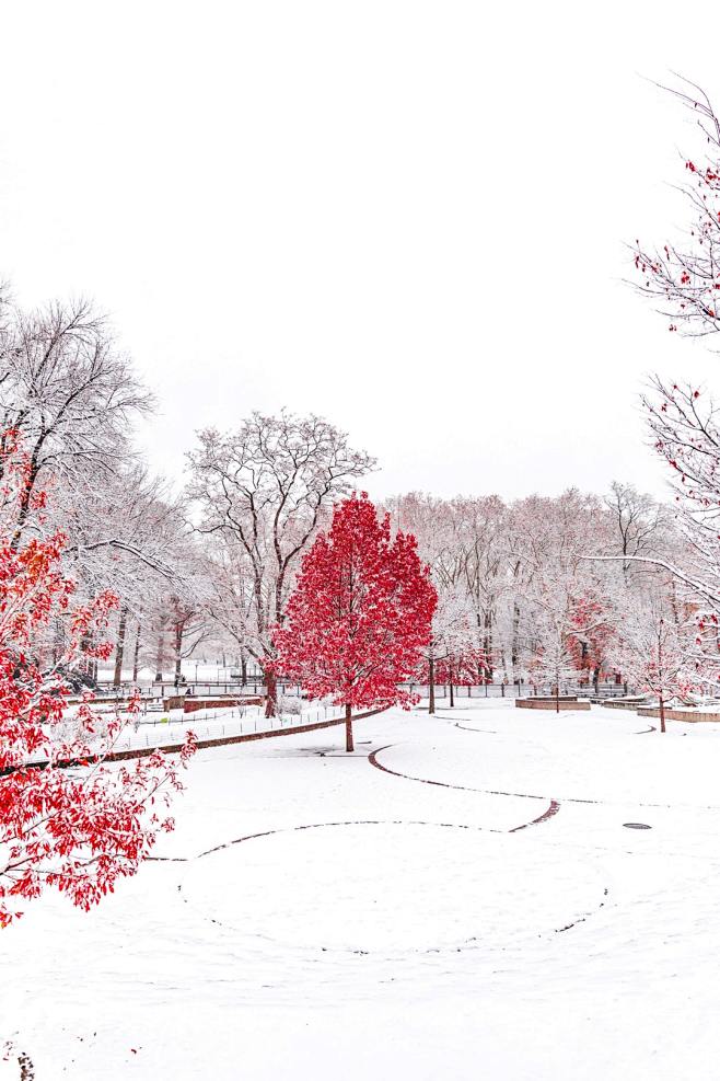 The Red Winter. | HD...