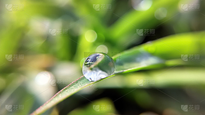 一滴