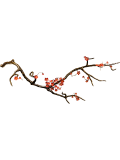 追花的叶子采集到新中式元素