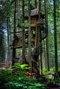 远离尘嚣Three Story Treehouse, British Columbia, Canada