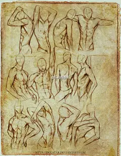 #SAI资源库# 人体男性皮肤人物胸部绘画参考，非常经典全面，熟能生巧哦，转需吧~