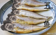 ai昭采集到蔡徐坤