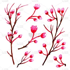 水彩，花，春天，日本，树枝，树，黑色的树枝，枝，枝，樱花，植物，花园，