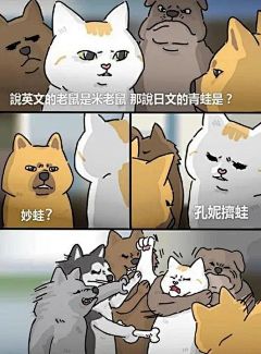 留学后和歪果仁交流也想用表情包？meme了解一下！_网络 : 老外在社交网络必备的一种图就是meme，meme的精髓不在于沙雕图片，而是网友根据图片加词之后出其不意产生了吐槽效果！ 你也可以简单的把meme理解为梗图~那么我们今天一起来感受一下歪果仁的表情…