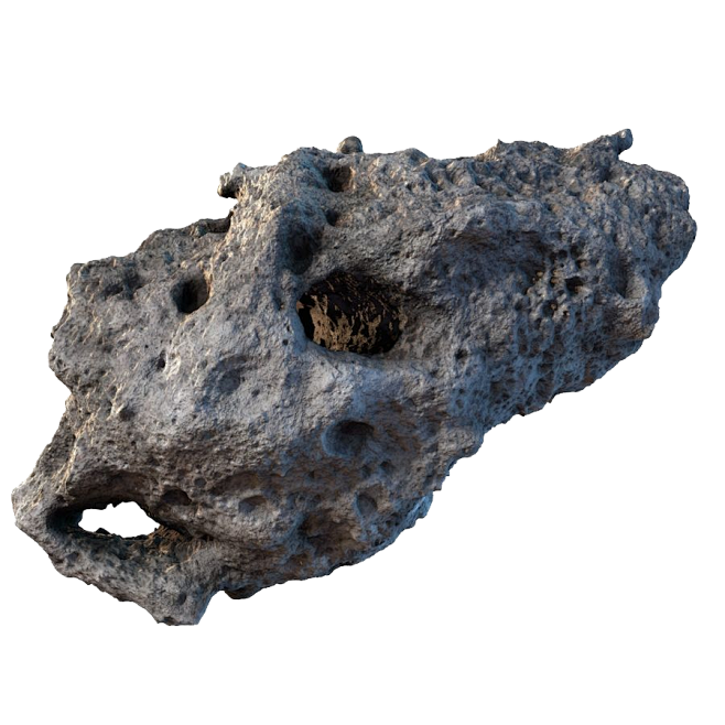c4d素材 3D植被 岩石 环保 零甲醛...