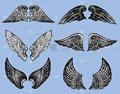 多样,翅膀,华丽的,图像,魔鬼,动物,童话故事,想象,收集