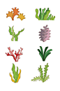 海洋生物