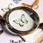 Fragile Beauty – i82 | Inspirations Magazine