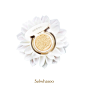 Sulwhasoo 雪花秀 : Sulwhasoo 雪花秀 product shooting
