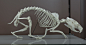 Skulls & Bones (431)