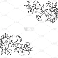山茶花线画背景插图