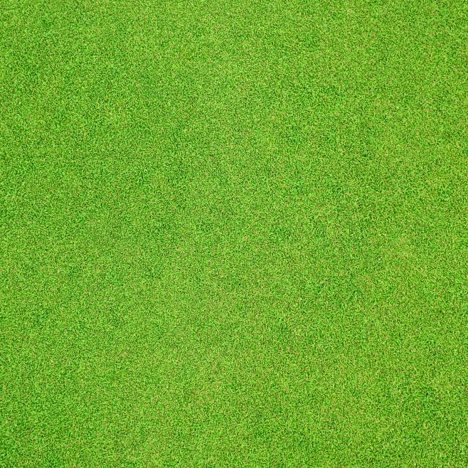 绿茵草坪草地绿地小草绿植物背景纹理jpg高清图片后期合成ps素材