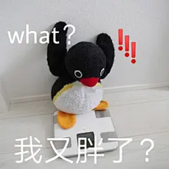 小企鹅表情包 cr.原图鸭 - 堆糖