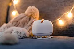 Image may contain: indoor