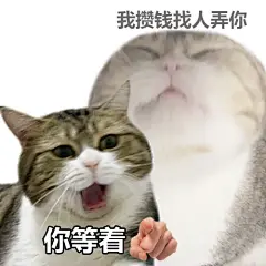 窝囊废表情包：惹到我你算是惹到小猫咪了 - 小红书