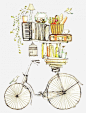 手绘图片 自行车和书