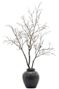 Branch Dark Brown In Pottery Blue Black - NDI | domino.com