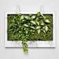 仿真植物墙厂家人造绿色植物仿生草墙装饰室内立体绿化墙面美化-淘宝网