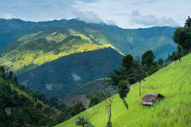 青山梯田小茅屋，自然景观