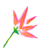 图层 11