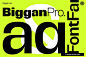 18款Biggan Pro现代时尚简约品牌logo海报标题无衬线英文字体家族
