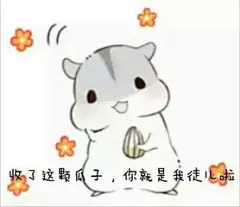 小仓鼠表情包_360图片