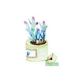 一组植物小清新~【@崔小慢手绘 · 图】#爱插画爱生活# ​​​​