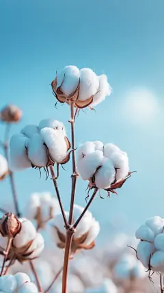 AI生成自然风景图片素材 - 黄蜂网woofeng.cn