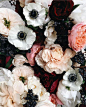 ♕pinterest/ amymckeown5