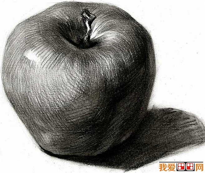 素描苹果图片，单个水果素描静物05
