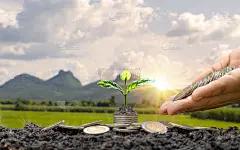 钱的生长理念，种植在钱币或钱币上，包括给钱币以树木和自然为背景。