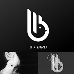 3gj6o1RM采集到鸟类logo