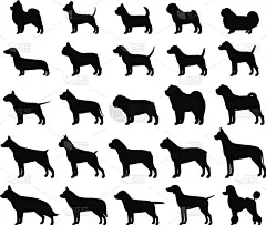 矢量犬品种的轮廓收集孤立的白色