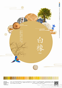 铁壁女采集到广告