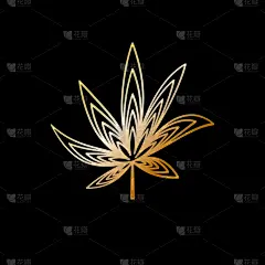叶子,商务,健康保健,几何形状,环境,模板,草,设计