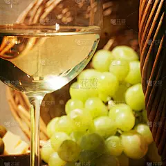 葡萄酒的品尝