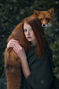 Ginger story by Katerina Plotnikova: 
