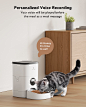 Amazon.com: PETLIBRO 自动猫喂食器,带定制喂食时间表的猫粮分配器,带互动录音机的定时猫喂食器,猫狗自动宠物喂食器 1-4 餐干粮 4L : 宠物用品