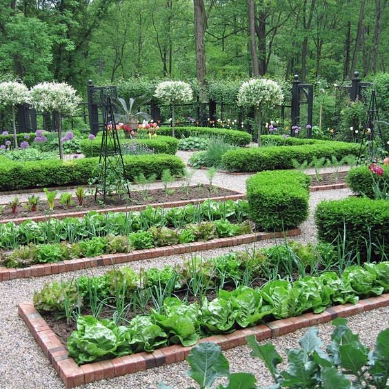 A kitchen garden, or...