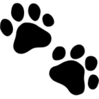 OZs10xbm采集到各类采集