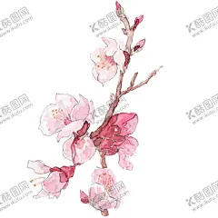  手绘粉色桃花免扣素材图片 【酷图网】桃花,桃花素材,免扣素材,桃花背景,水彩花朵,桃花花瓣,工笔画花朵,桃花林,桃花林背景,桃花封面,桃花摄影,桃花印花,桃花花卉,一束桃花,桃花花朵,桃花油画,十里桃花,花海,矢量桃花,卡通桃花,桃花剪影,桃花工笔画,桃花水彩,水彩桃花,国画桃花,国画花朵,粉色桃花,粉红色桃花,桃花树枝,花草鸟树素材,