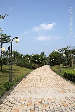 我在海南琼海租住的绿色生态小区什么样实拍, 刘星云旅游攻略