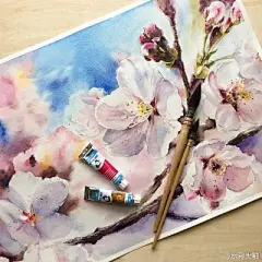 水彩---樱花-梨花-桃花-海棠花、梅花 - 高清图片，堆糖，美图壁纸兴趣社区