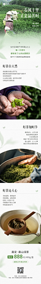 茶叶促销宣传微信公众号文章长图
