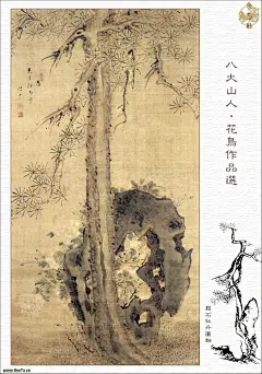 八大山人花鸟画作品精选