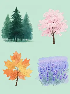 四张系列水彩风格植物插画规整排布，每张均为纯色背景，保持原图的透明晕染笔触、柔和边缘过渡、湿润质感和简约构图，第一张是深绿色系松树林，第二张是粉色系樱花树，第三张是橙黄色系枫叶树，第四张是蓝紫色系薰衣草花田，整体色彩协调统一又各具特色，画面干净简洁，无文字元素。