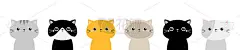 可爱的猫脸头图标集线。不同的品种。小猫剪影。有趣的卡哇伊卡通婴儿角色。情人节快乐。笔记本不干胶打印模