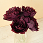 Five pieces of burgundy paper dahlias : The price is for 5 pieces. Of course you can order any bigger amount, a multiple of five is not obligatory, just let me know. Smaller amounts are unfortunately not available.  The flowers are made by hand from hand 