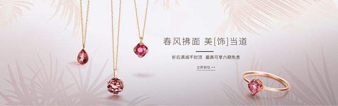 iicc旗舰店