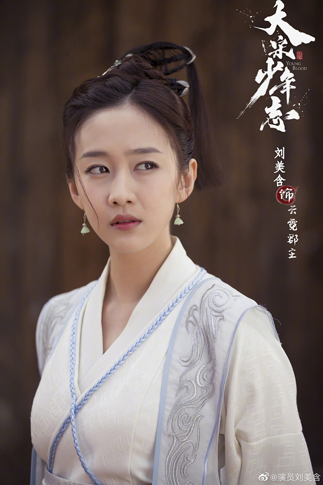 大宋少年志刘美含